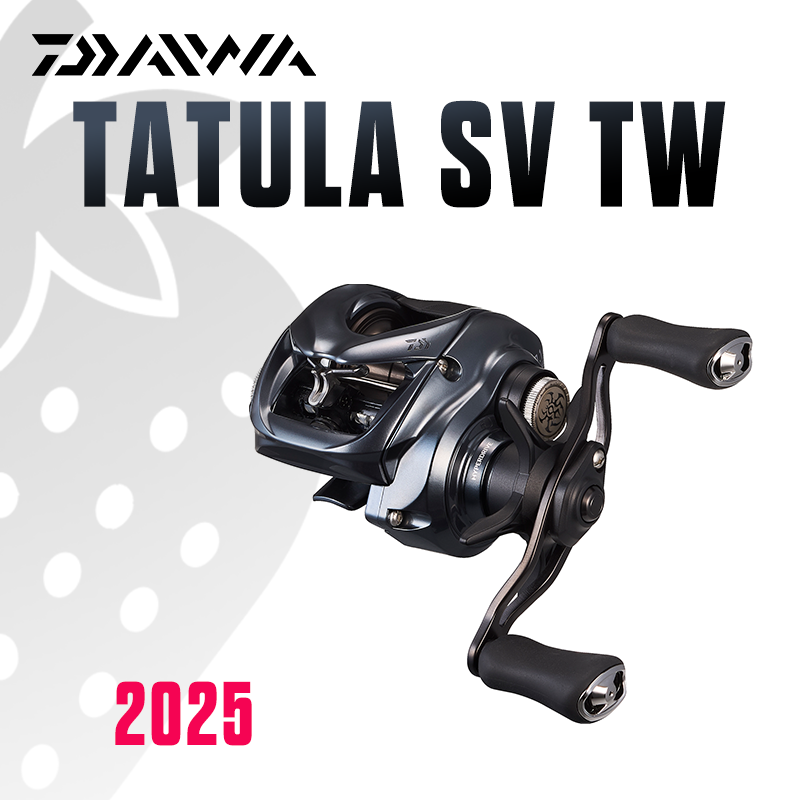 Daiwa Reel Bg - 다이와 2025 타툴라 SV TW100 낚시릴